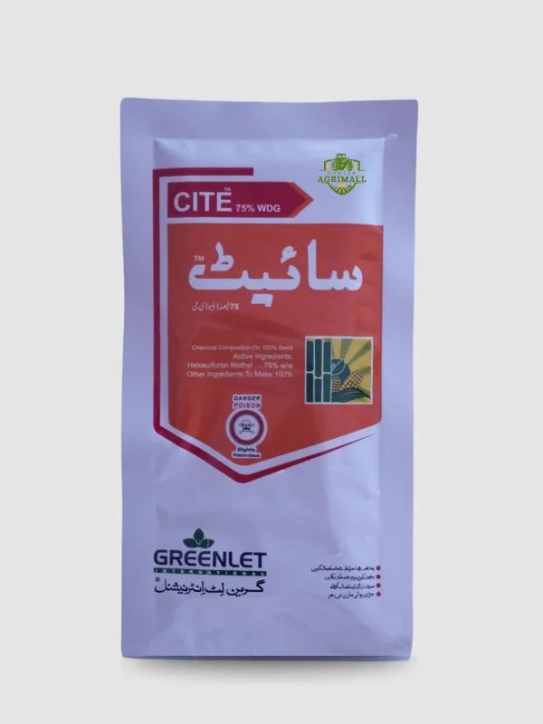 CITE 75% WDG - سائٹ - Greenlet