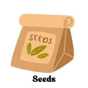seeds in pakistan